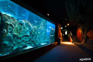 Aquarium
